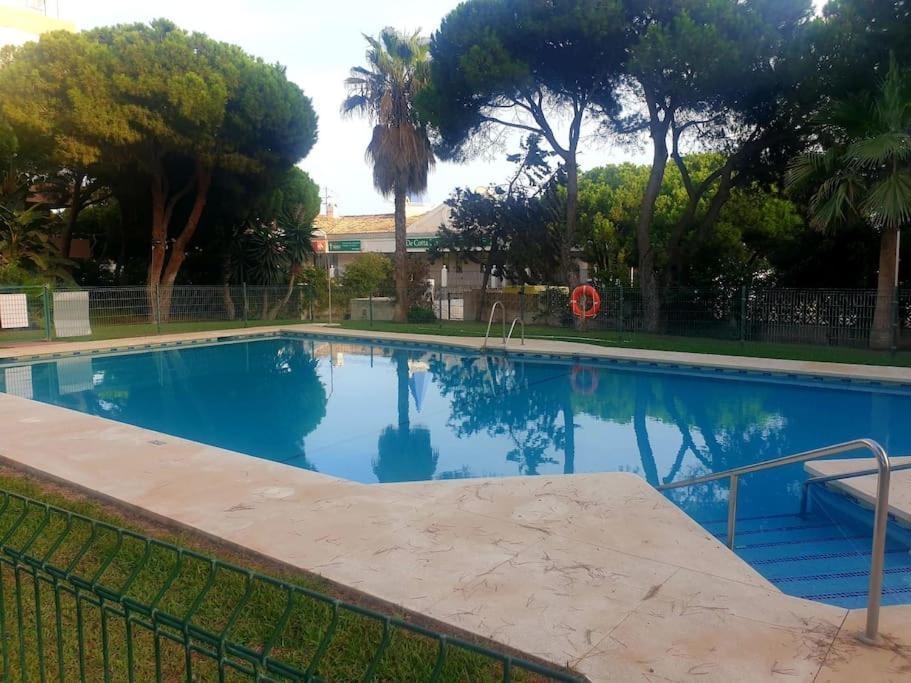 Precioso Estudio Con Piscina A 200M Del Mar Μαρμπέλλα Εξωτερικό φωτογραφία