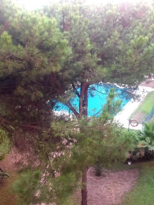 Precioso Estudio Con Piscina A 200M Del Mar Μαρμπέλλα Εξωτερικό φωτογραφία