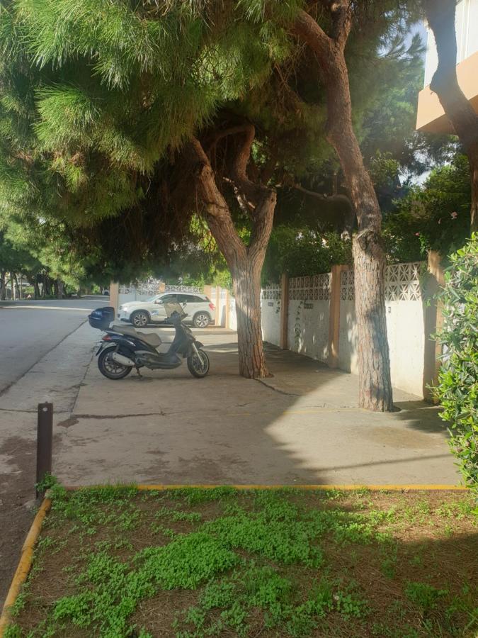 Precioso Estudio Con Piscina A 200M Del Mar Μαρμπέλλα Εξωτερικό φωτογραφία