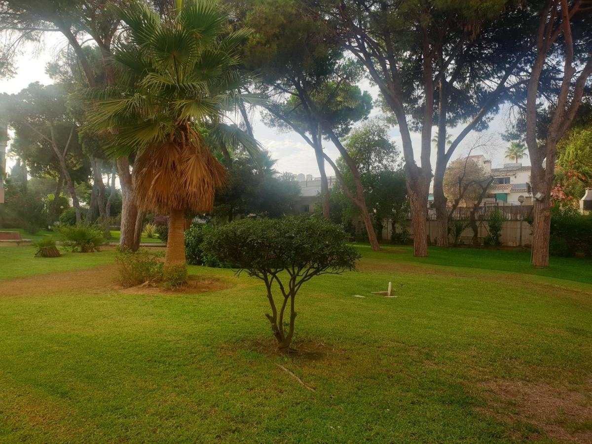 Precioso Estudio Con Piscina A 200M Del Mar Μαρμπέλλα Εξωτερικό φωτογραφία