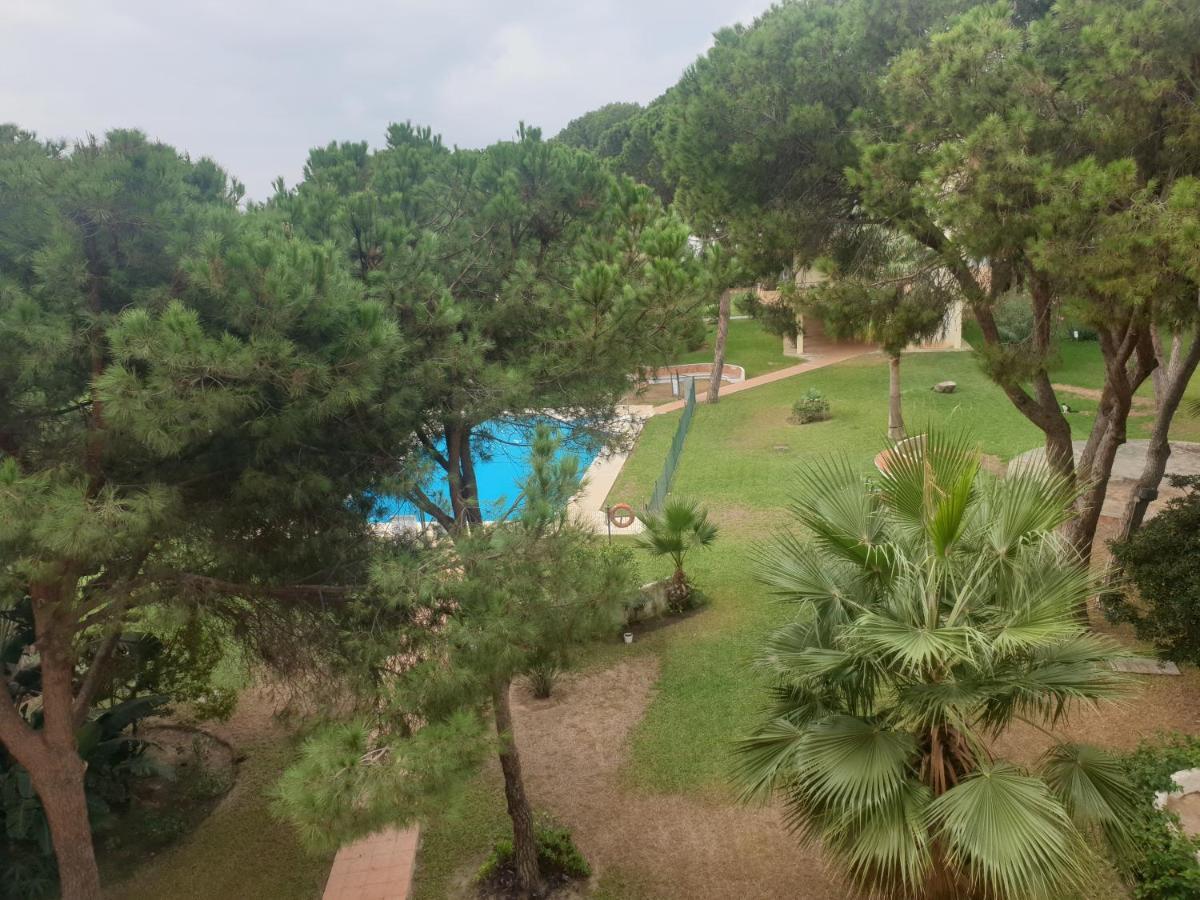 Precioso Estudio Con Piscina A 200M Del Mar Μαρμπέλλα Εξωτερικό φωτογραφία